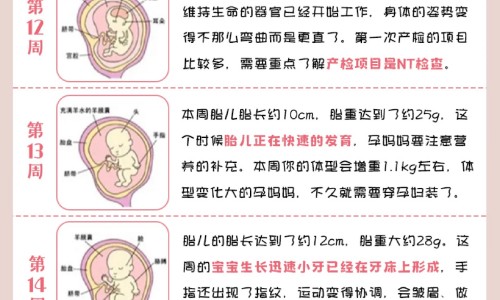 怀孕为什么会长扁平疣-怀孕期间得了扁平疣怎么治疗,中国怀孕期间得了扁平疣网站
