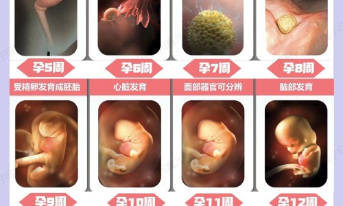 怀孕为什么会长扁平疣-怀孕期间得了扁平疣怎么治疗,中国怀孕期间得了扁平疣网站
